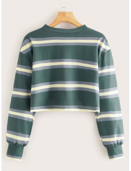 Striped Crew Neck Crop Sweatshirt